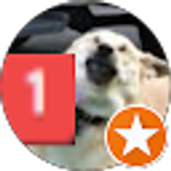 Profile photo of Anthony G