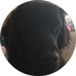 Profile photo of John Daum