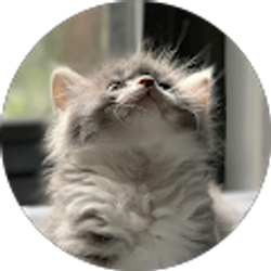 Profile photo of Kate O'Sullivan