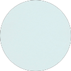 Profile photo of Allyson Angell