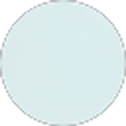 Profile photo of Allyson Angell