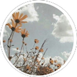 Profile photo of Cameron Bennett