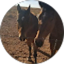 Profile photo of Hunter Herrera