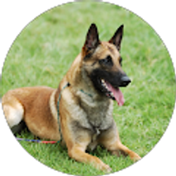 Profile photo of Johnny Cage