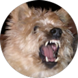 Profile photo of Grace Steuart (Buster's Mom)