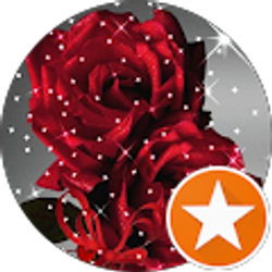 Profile photo of Tracey Goerke