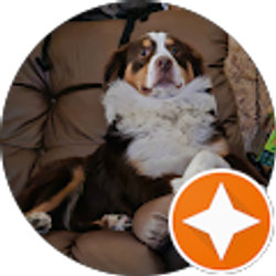 Profile photo of James Rogers