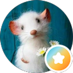 Profile photo of Gina Esposito