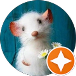 Profile photo of Gina Esposito