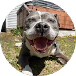 Profile photo of Amy Balich