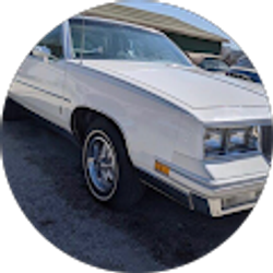 Profile photo of nico donaldson