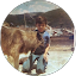 Profile photo of Neftali Herrera