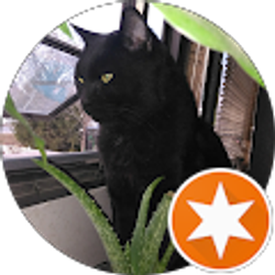 Profile photo of Shannon Palma