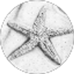 Profile photo of Ruth Moody