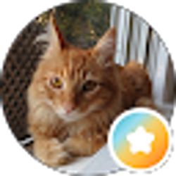 Profile photo of Ben Chui