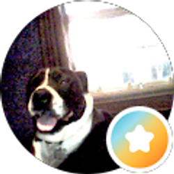 Profile photo of James P
