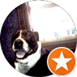 Profile photo of James P