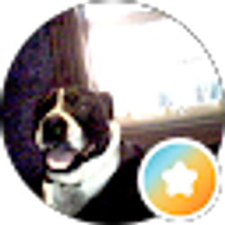 Profile photo of James P