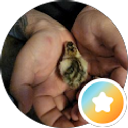 Profile photo of Erik