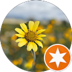 Profile photo of Lety G