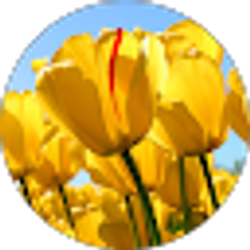 Profile photo of Kathy Chapman