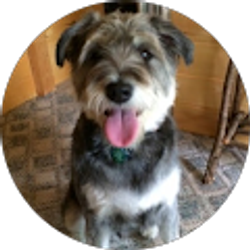 Profile photo of Lori Klingler