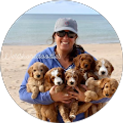 Profile photo of Jennifer Shamel