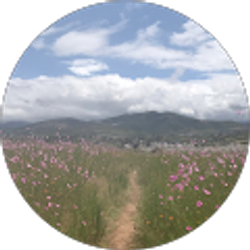 Profile photo of elizabeth v