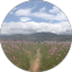 Profile photo of elizabeth v