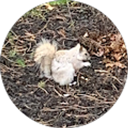 Profile photo of Dianne S