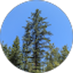 Profile photo of Nico_Cant_Exist