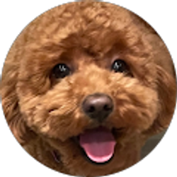 Profile photo of Cathy Rizzi