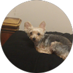 Profile photo of Barbara Dooley
