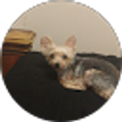 Profile photo of Barbara Dooley