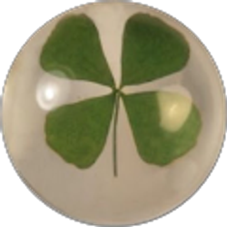 Profile photo of Mackenzie Durkee (Kenzi)