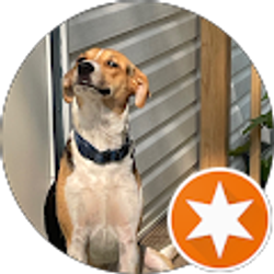 Profile photo of Jay Herrick