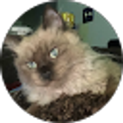 Profile photo of Jim Jones