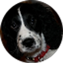 Profile photo of Riley VanHorn