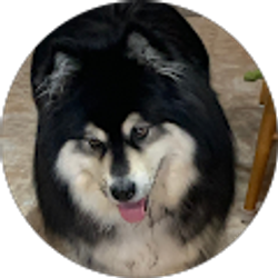 Profile photo of Jeni Schipper