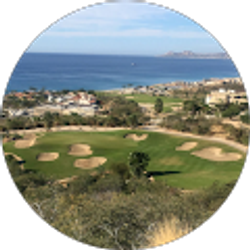 Profile photo of Troy Holt