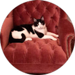 Profile photo of Barbara P