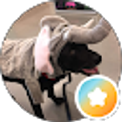 Profile photo of S C