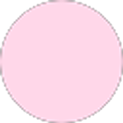Profile photo of priscila mendez