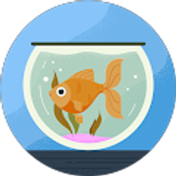 Profile photo of Cheree BELLEW