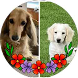 Profile photo of Jody Tipton