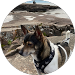 Profile photo of Jim Lewison