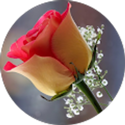 Profile photo of Karla Leon