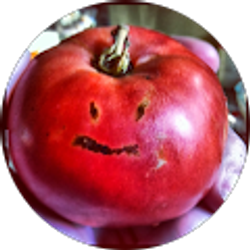 Profile photo of Melissa B