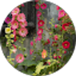 Profile photo of Rhonda Whitworth