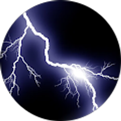 Profile photo of Michele Hottinger
